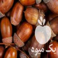 فروش بلوط طبیعی بلوط کلاه دار خشک بلوت خشک کاج تزیینی میوه کاج در کرج در گروه میوه های خشک - پرتقال سیب حبه ورق صنعتی خانگی در یکمیوه