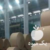 فروش پخش کاغذ کرافت کاغذ میوه سیب جهدآسا در ارومیه در گروه خرید فروش عمده سیب - زرد و قرمز گلاب پاییزه در یکمیوه