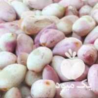 فروش پسته خندان در دامغان در گروه پسته - کوهی شامی خام اکبری تازه کله قوچی در یکمیوه