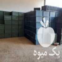 فروش سینی نشا تضمینی نشکن در آمل در گروه خرید فروش نشا - انواع گوجه برنج کاهو پیاز کاری فرنگی در یکمیوه