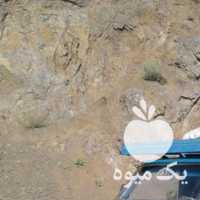 فروش پخش سیب زمینی به مغازه دارها   در کرمانشاه در گروه خرید فروش عمده سیب زمینی - زودرس دیررس آگریا اسپریت اردبیل همدان در یکمیوه