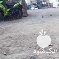 فروش مرغ و خروس مینیاتوری در تهران در گروه مرغ و خروس و بوقلمون و اردک قو قاز در یکمیوه