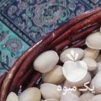 فروش پسته کیلویی در یزد در گروه پسته - کوهی شامی خام اکبری تازه کله قوچی در یکمیوه