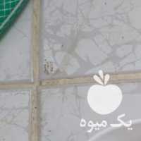 فروش شیره انگور در شیراز در گروه عسل شیره و فرآورده ی مربا - طبیعی گون کوهی آویشن در یکمیوه