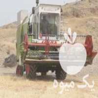 فروش کمباین سهند مدل 84 در بوکان در گروه خرید فروش ماشین آلات کشاورزی - تراکتور تیلر کمباین مدرن در یکمیوه