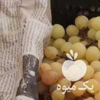 فروش انگور خوش خوراک در همدان در گروه خرید فروش عمده انگور - یاقوتی شانی عسگری بی دانه قرمز در یکمیوه