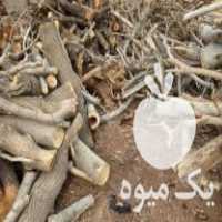 خرید و فروش چوب باغی هیزم تنه شاخه هرس قطع درخت همه نوع در تهران در گروه خرید فروش عمده چوب- زغال چوب گردو تبریزی خام در یکمیوه