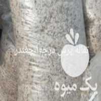 فروش و ارسال تفاله تر چغندر ، تفاله سیب ، علوفه ذرت در زنجان در گروه خوراک دام و طیور - پرواری شیری علوفه یونجه در یکمیوه