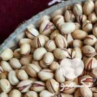 فروش پسته و مغز پسته در یزد در گروه پسته - کوهی شامی خام اکبری تازه کله قوچی در یکمیوه