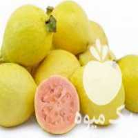 فروش بذر کمیاب ،  بذر استوایی ،  بذر صیفیجات کمیاب در تهران در گروه خرید فروش عمده میوه استوایی - پاپایا قرمز منگوستین گواوا بلوبری در یکمیوه