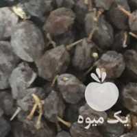 فروش کشمش بیدانه تازه آفتابی در قزوین در گروه آجیل - فروش عمده محصولات در یکمیوه