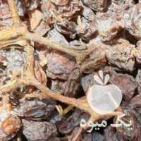 فروش مویز و کشمش بش دشمن زیاری در شیراز در گروه آجیل - فروش عمده محصولات در یکمیوه