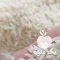 فروش برنج صدری آستانه در لاهیجان در گروه خرید فروش عمده برنج - نیم دانه عنبر بو هاشمی کاظمی هندی پاکستانی در یکمیوه