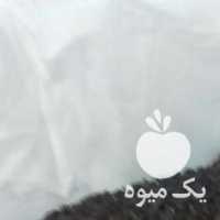 فروش چای بهاره از باغات سیاهکل در رشت در گروه خرید فروش عمده چای - سبز ترش کوهی سیاه در یکمیوه