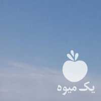 فروش نهال پسته در رفسنجان در گروه خرید فروش نهال - انواع گردو پسته بادام سلطانی انگور در یکمیوه