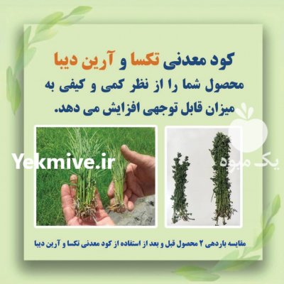 کود کامل ارگانیک تکسا آرین در مراغه در گروه مشاوره - راه اندازی بازاریابی کسب درآمد بهبود کسب و کار در یکمیوه -عکس3