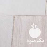 فروش گل کاکتوس 2 عدد باهم در گلدان در اصفهان در گروه خرید فروش عمده گیاهان زینتی - گرمسیری آپارتمانی باغچه آب در یکمیوه