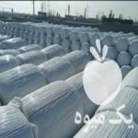 فروش ذرت علوفه ای در تهران در گروه خوراک دام و طیور - پرواری شیری علوفه یونجه در یکمیوه