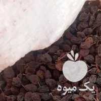 فروش کشمش آفتابی بیدانه تمیزه پاک شده س در قزوین در گروه آجیل - فروش عمده محصولات در یکمیوه