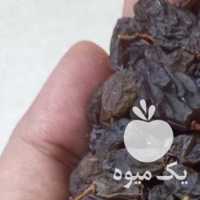 فروش کشمش در همدان در گروه آجیل - فروش عمده محصولات در یکمیوه