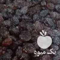 فروش کشمش آفتابی پاک شده در تهران در گروه آجیل - فروش عمده محصولات در یکمیوه