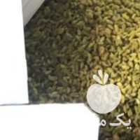 فروش کشمش سبزکشمش طلایی گله آفتابی کاشمر خلیل آباد در تهران در گروه آجیل - فروش عمده محصولات در یکمیوه