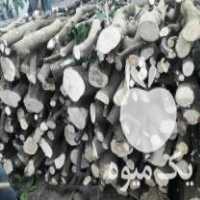 فروش چوب نارنج لیمو مروبات در امیرکلا در گروه خرید فروش عمده چوب- زغال چوب گردو تبریزی خام در یکمیوه