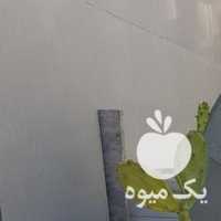 فروش گل کاکتوس چند عدد گلدان در اصفهان در گروه خرید فروش عمده گیاهان زینتی - گرمسیری آپارتمانی باغچه آب در یکمیوه