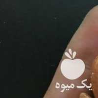 فروش بادام زمینی ترک در تهران در گروه بادام - درختی کوهی زمینی فروش عمده در یکمیوه