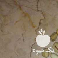 فروش پسته کلغوچی در رفسنجان در گروه پسته - کوهی شامی خام اکبری تازه کله قوچی در یکمیوه