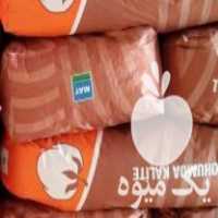 فروش چند بسته بذر پنبه مای ترکیه اصل تولید 2021 موجود هست در اردبیل در گروه خرید فروش بذر - انواع محصول کشاورزی گوجه کتان میوه درخت در یکمیوه