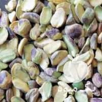 خرید پسته پوک و گو و رو ابی در رفسنجان در گروه پسته - کوهی شامی خام اکبری تازه کله قوچی در یکمیوه