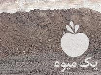 فروش کود حیوانی 1000 تن موجود در ملکان در گروه خرید فروش کود و مواد شیمیایی - اوره پتاس مرغی کمپوست آهن در یکمیوه -عکس1