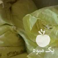 فروش گونی انبار سیب زمینی در کرمانشاه در گروه خرید فروش بسته بندی نایلونی - کیسه نایلکس مشما پلاستیک در یکمیوه