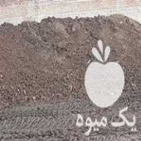 فروش کود حیوانی 1000 تن موجود در ملکان در گروه خرید فروش کود و مواد شیمیایی - اوره پتاس مرغی کمپوست آهن در یکمیوه