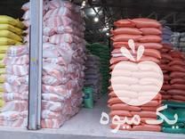 فروش تامین کننده عمده حبوبات ، غلات و خشکبار اعلا در قزوین در گروه خرید فروش عمده غلات و حبوبات - لپه عدس نخود لوبیا در یکمیوه -عکس1