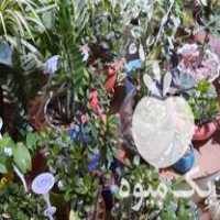 فروش گل و گلدان درخ ودرختچه در چالوس در گروه خرید فروش عمده گیاهان زینتی - گرمسیری آپارتمانی باغچه آب در یکمیوه