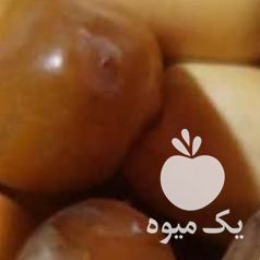 فروش عمده رطب  ،  خرما و لیمو جهرم در تهران در گروه خرید فروش عمده خرما - کبکاب تازه زاهدی خشک خارک در یکمیوه -عکس1