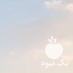 فروش کره اسب مادیان ترکمن یموت آسپیران فارسان در تهران در گروه خرید فروش عمده انواع گل - پروش قاشقی موسی ساکولنت بن سای در یکمیوه -عکس1