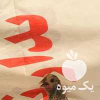 فروش مرغ و خروس مینیاتوری در تهران در گروه مرغ و خروس و بوقلمون و اردک قو قاز در یکمیوه