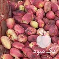 فروش پسته باپوست وبدون پوست عمده وخرده در تهران در گروه پسته - کوهی شامی خام اکبری تازه کله قوچی در یکمیوه