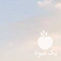 فروش کره اسب مادیان ترکمن یموت آسپیران فارسان در تهران در گروه خرید فروش عمده انواع گل - پروش قاشقی موسی ساکولنت بن سای در یکمیوه