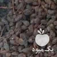 فروش کشمش آفتابی بیدانه در قزوین در گروه آجیل - فروش عمده محصولات در یکمیوه