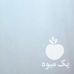 فروش گل آلوورا بزرگ در تهران در گروه خرید فروش عمده گیاهان زینتی - گرمسیری آپارتمانی باغچه آب در یکمیوه -عکس1