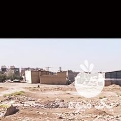 فروش اسب مادیان مشکی در اصفهان در گروه اسب و الاغ خر و فروش قاطر- ترکمن عربی سفید نر و ماده در یکمیوه -عکس1