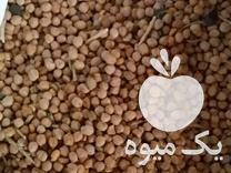 فروش نخود دیم و بادام سنگی در تهران در گروه بادام - درختی کوهی زمینی فروش عمده در یکمیوه -عکس1