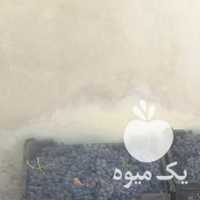 فروش انگور شانی سرخ اباد در همدان در گروه خرید فروش عمده انگور - یاقوتی شانی عسگری بی دانه قرمز در یکمیوه