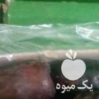 فروش 90 تا کارتن خرما سبک وزن خوش رویت در کرمان  در گروه خرید فروش عمده خرما - کبکاب تازه زاهدی خشک خارک در یکمیوه