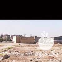 فروش اسب مادیان مشکی در اصفهان در گروه اسب و الاغ خر و فروش قاطر- ترکمن عربی سفید نر و ماده در یکمیوه