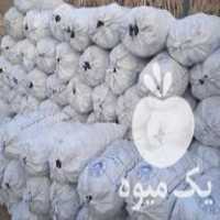 فروش ذغال پسته گونی در رفسنجان در گروه خرید فروش عمده چوب- زغال چوب گردو تبریزی خام در یکمیوه